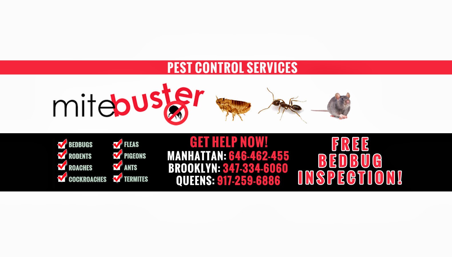 Photo of MiteBuster Pest Control in Queens City, New York, United States - 1 Picture of Point of interest, Establishment, Store, Home goods store