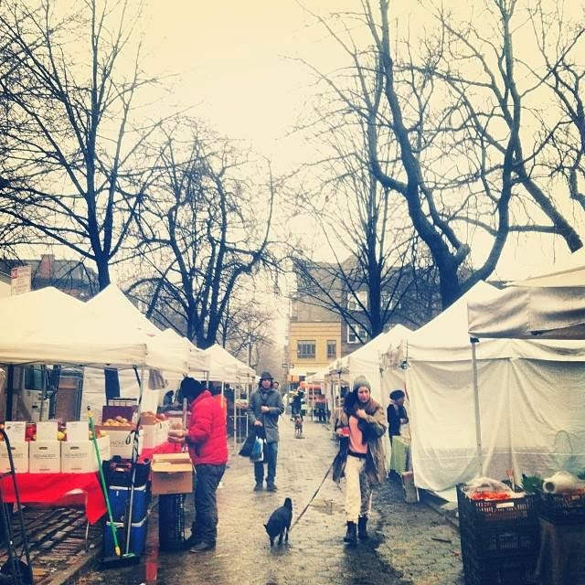 Photo of Fort Greene Park GrowNYC Greenmarket in Brooklyn City, New York, United States - 5 Picture of Food, Point of interest, Establishment, Store, Grocery or supermarket