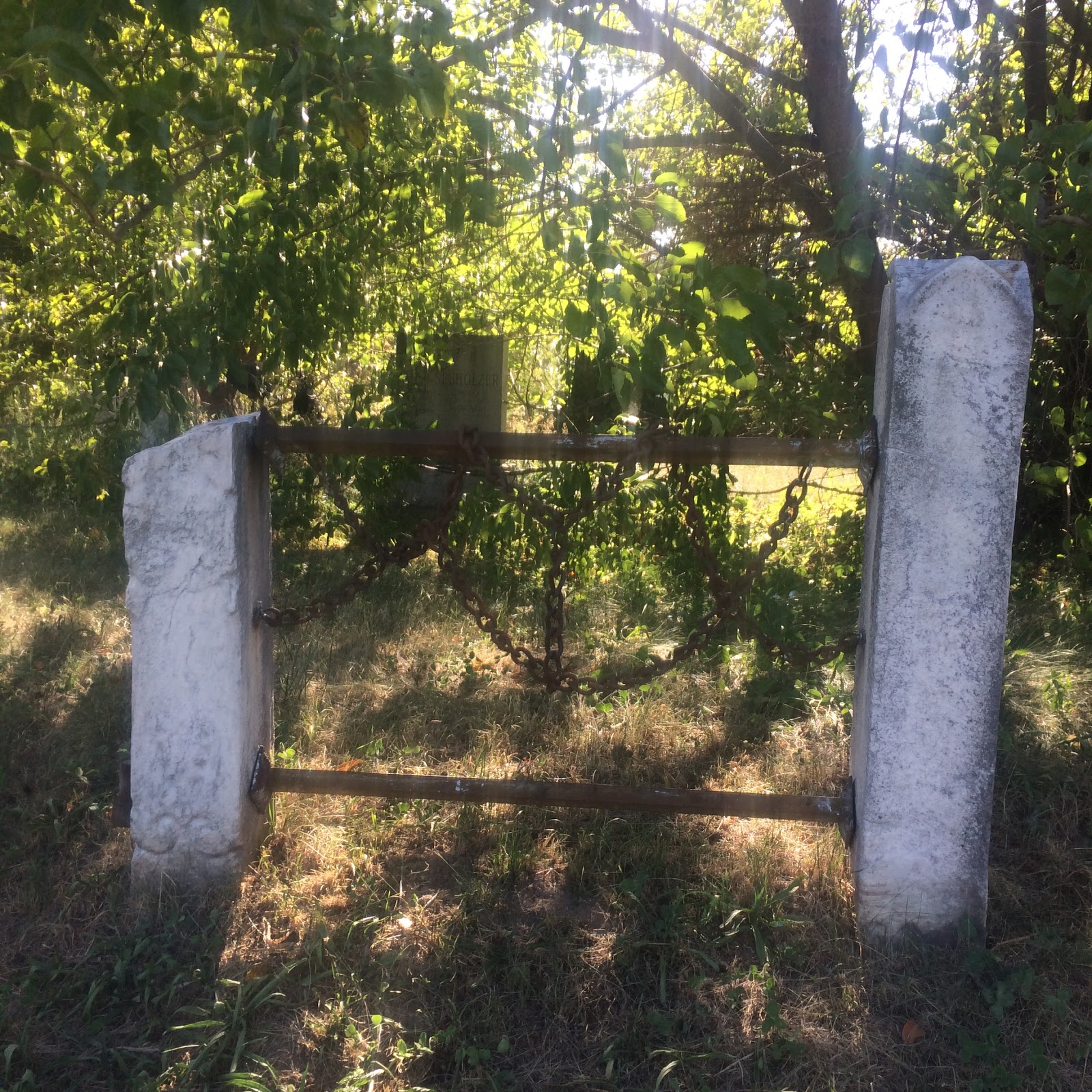 Photo of Lutheran All Faiths Cemetery in Middle Village City, New York, United States - 2 Picture of Point of interest, Establishment, Cemetery