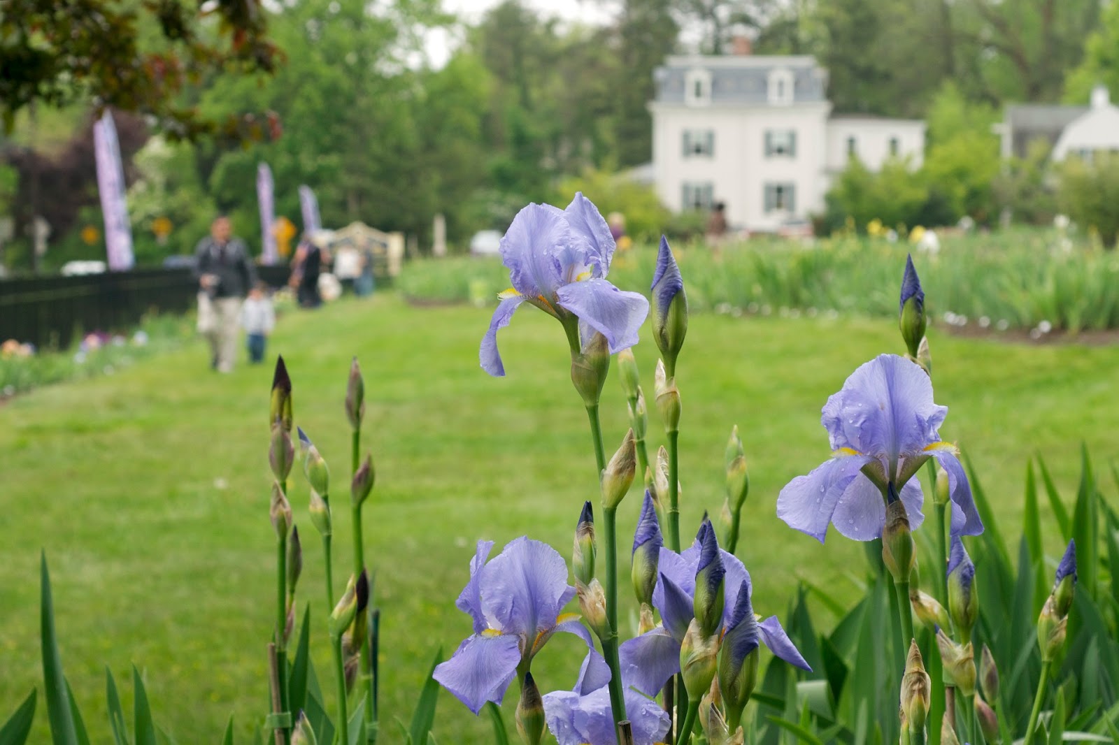 Photo of Presby Iris Gardens in Montclair City, New Jersey, United States - 2 Picture of Point of interest, Establishment, Park