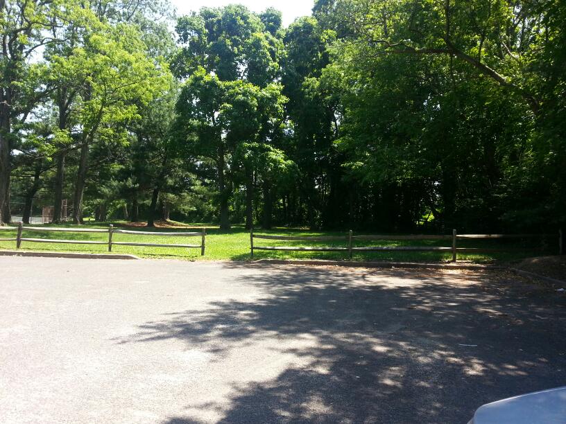 Photo of Dorsett Park in Middletown City, New Jersey, United States - 3 Picture of Point of interest, Establishment, Park