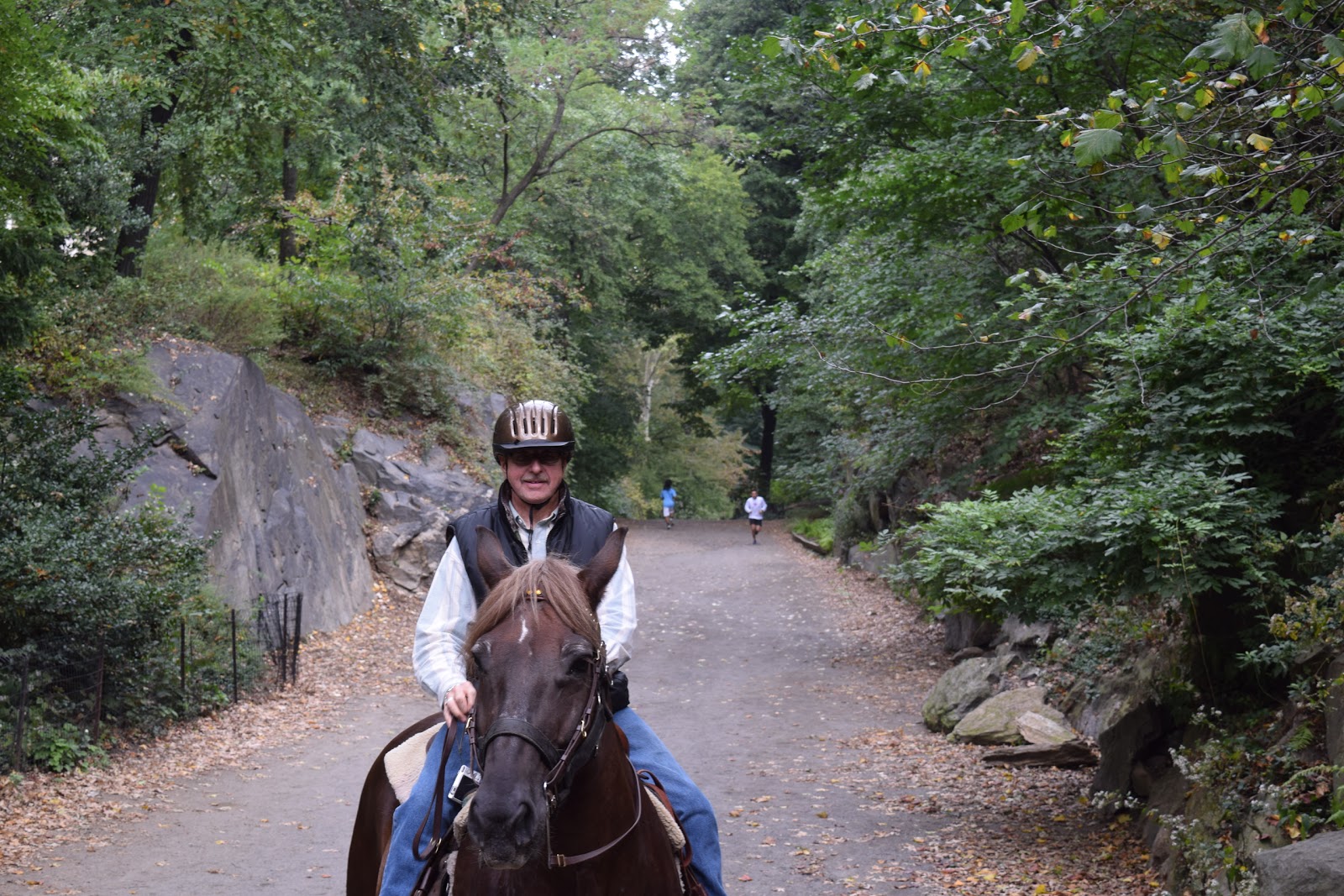 Photo of Central Park Horseback Rides in New York City, New York, United States - 7 Picture of Point of interest, Establishment, Travel agency