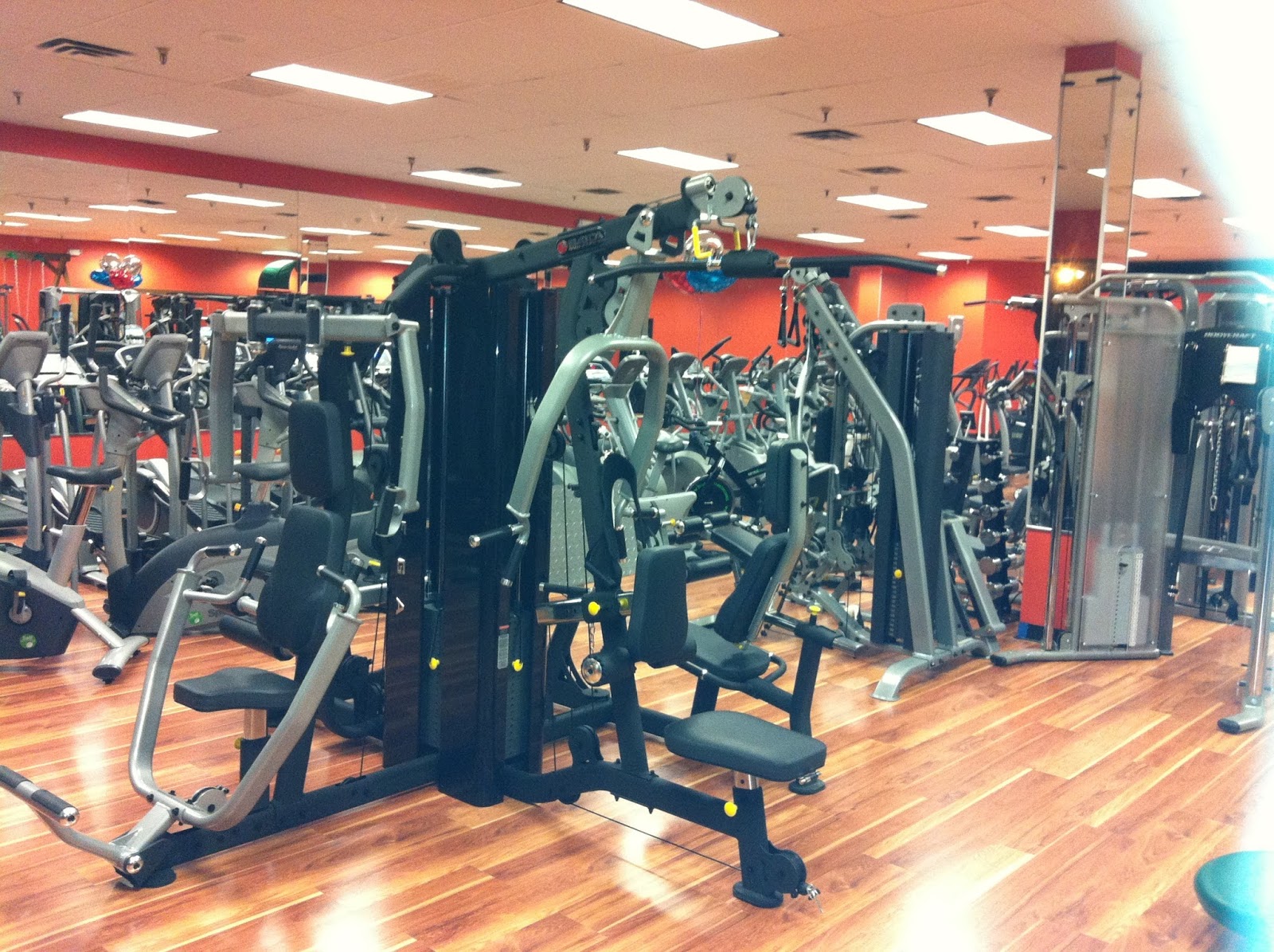Photo of Ultimate Fitness Superstore in Wayne City, New Jersey, United States - 4 Picture of Point of interest, Establishment, Store