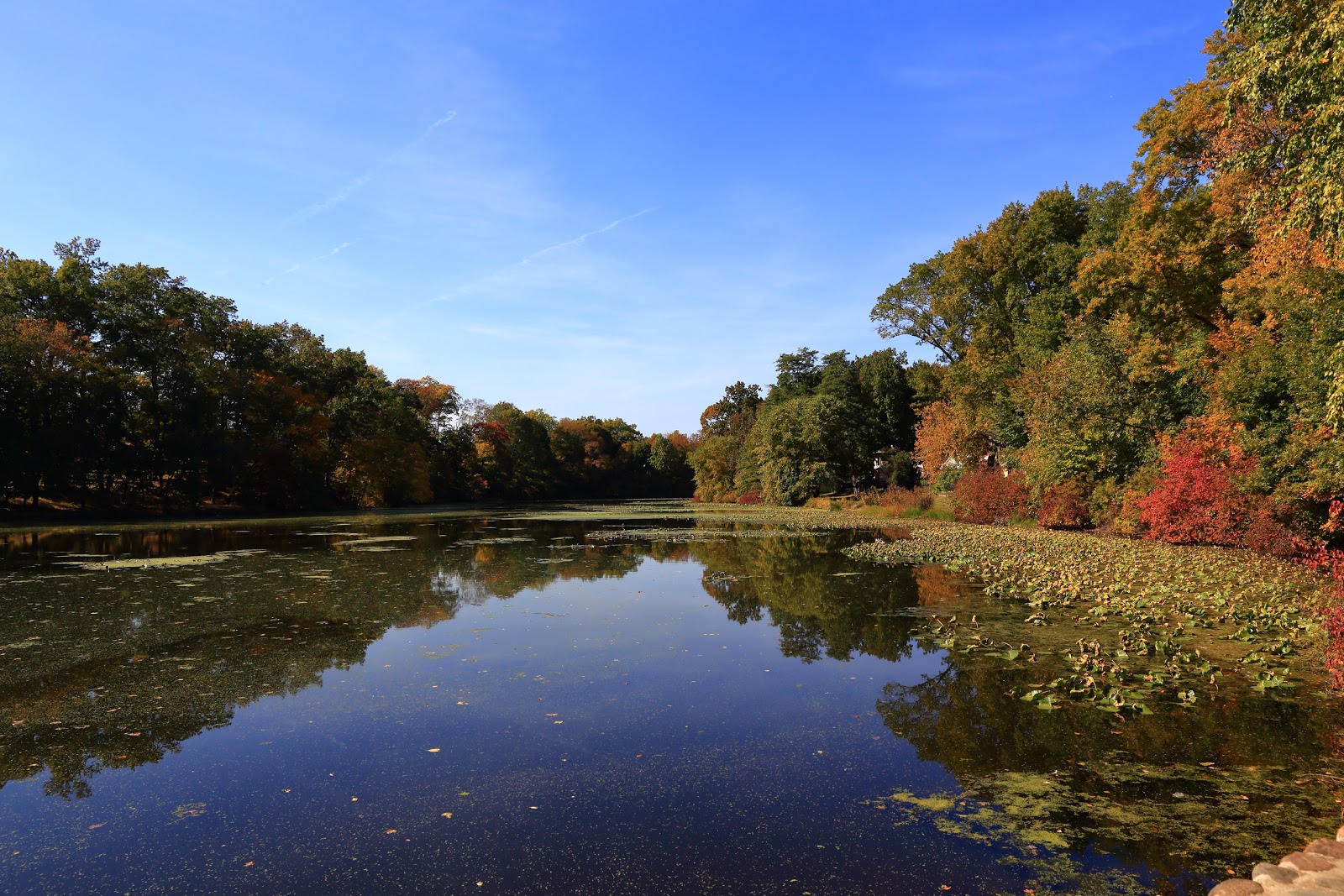 Photo of Milton Lake Park in Rahway City, New Jersey, United States - 1 Picture of Point of interest, Establishment, Park