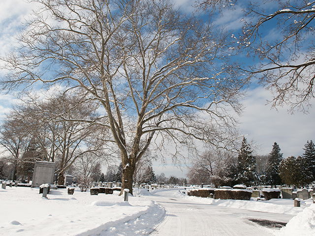 Photo of Riverside Cemetery in Saddle Brook City, New Jersey, United States - 4 Picture of Point of interest, Establishment, Cemetery