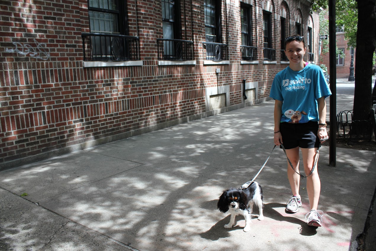 Photo of Swifto Dog Walkers in New York City, New York, United States - 10 Picture of Point of interest, Establishment