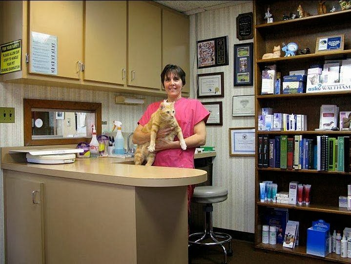 Photo of Cat Hospital in Williston Park City, New York, United States - 8 Picture of Point of interest, Establishment, Veterinary care