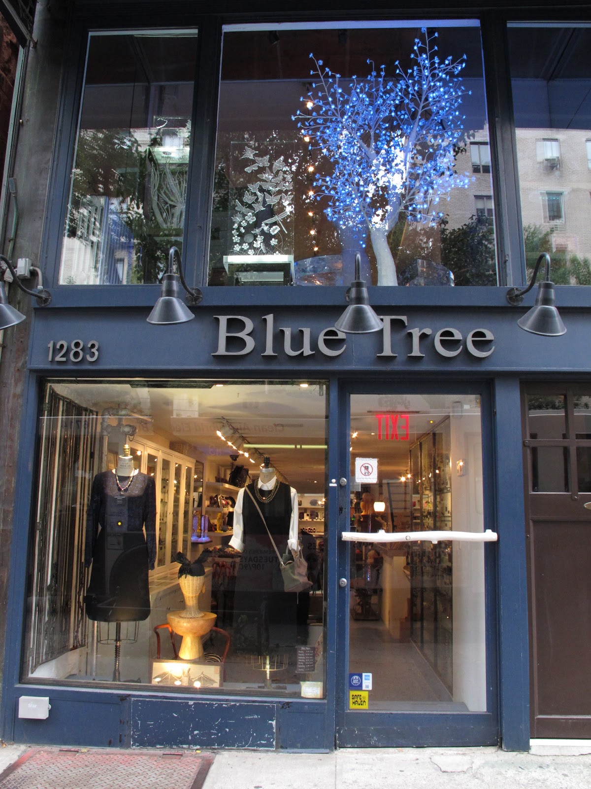 Photo of Blue Tree in New York City, New York, United States - 1 Picture of Point of interest, Establishment, Store, Clothing store