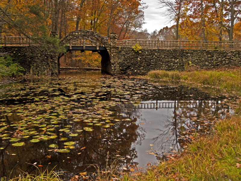 Photo of Nash Travel Club in Kings County City, New York, United States - 6 Picture of Point of interest, Establishment, Travel agency