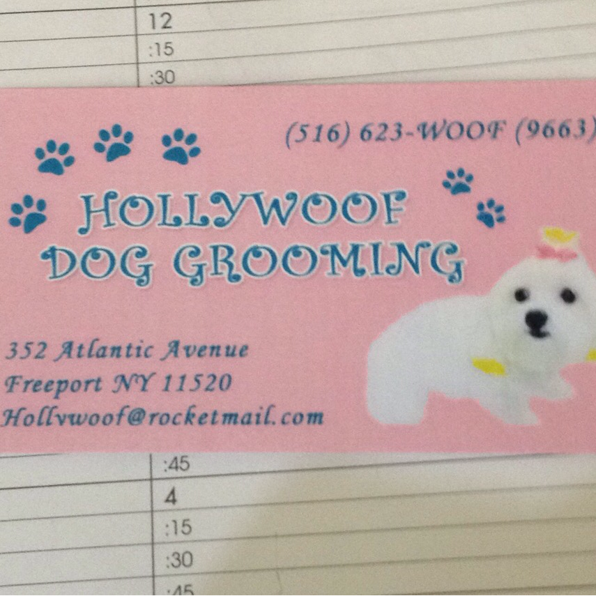 Photo of Hollywoof Grooming Salon in Freeport City, New York, United States - 2 Picture of Point of interest, Establishment