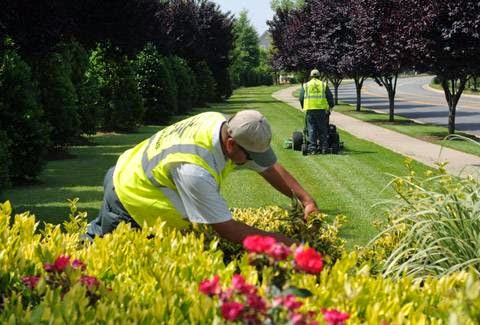 Photo of U.S. Lawns-Team 372 in Clifton City, New Jersey, United States - 2 Picture of Point of interest, Establishment, General contractor