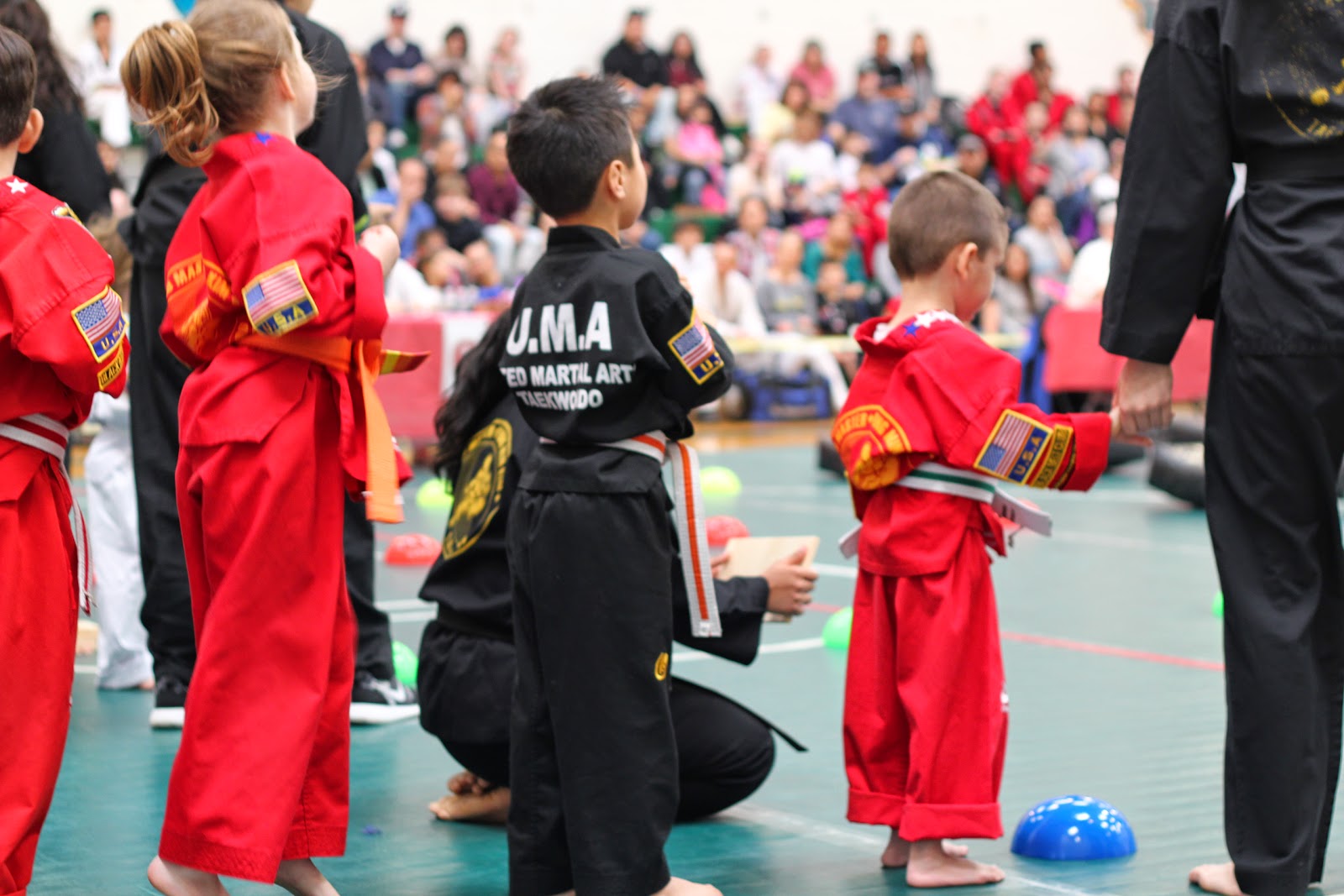 Photo of United Martial Arts Taekwondo in Bergenfield City, New Jersey, United States - 4 Picture of Point of interest, Establishment, Health