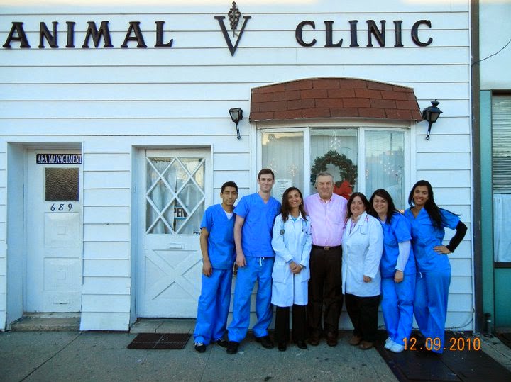 Photo of Animal Clinic of Bay Ridge in Brooklyn City, New York, United States - 2 Picture of Point of interest, Establishment, Store, Health, Veterinary care