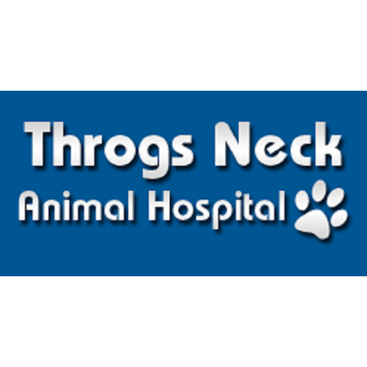 Photo of Throgs Neck Animal Hospital in Bronx City, New York, United States - 7 Picture of Point of interest, Establishment, Health, Veterinary care