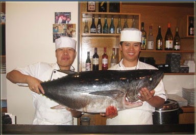 Photo of SHINTARO in Floral Park City, New York, United States - 3 Picture of Restaurant, Food, Point of interest, Establishment