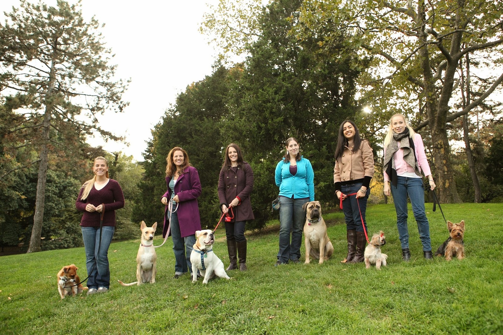 Photo of CATCH Canine Trainers Academy in Little Falls City, New Jersey, United States - 2 Picture of Point of interest, Establishment, School