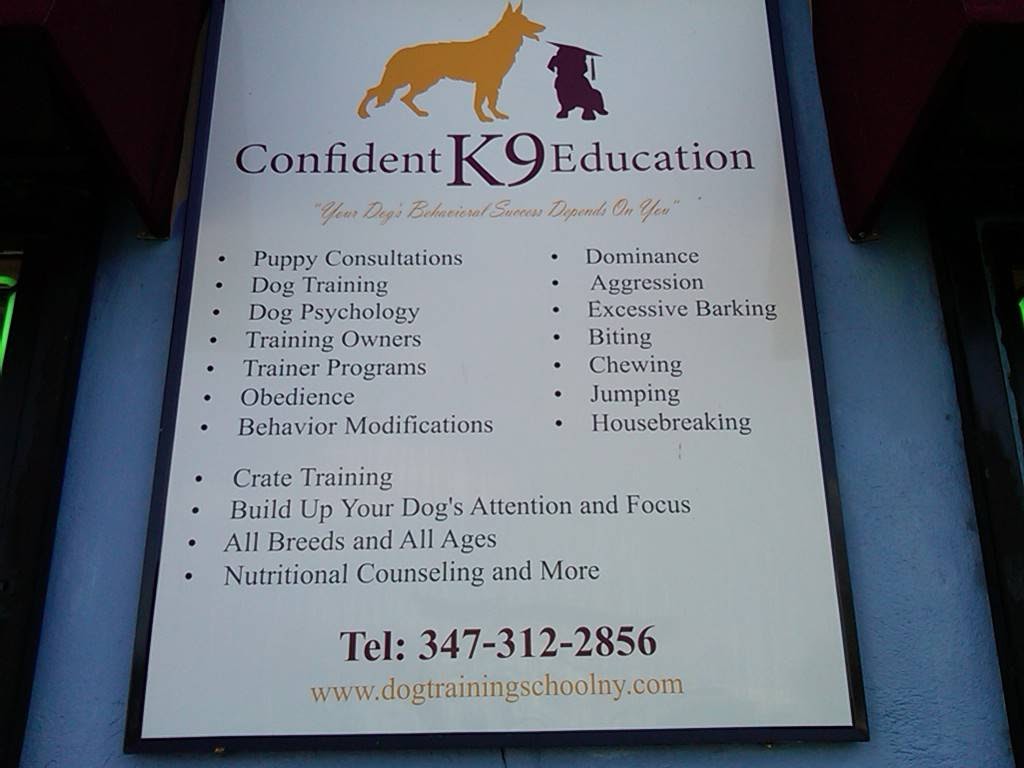 Photo of Confident K9 Education in Kings County City, New York, United States - 6 Picture of Point of interest, Establishment