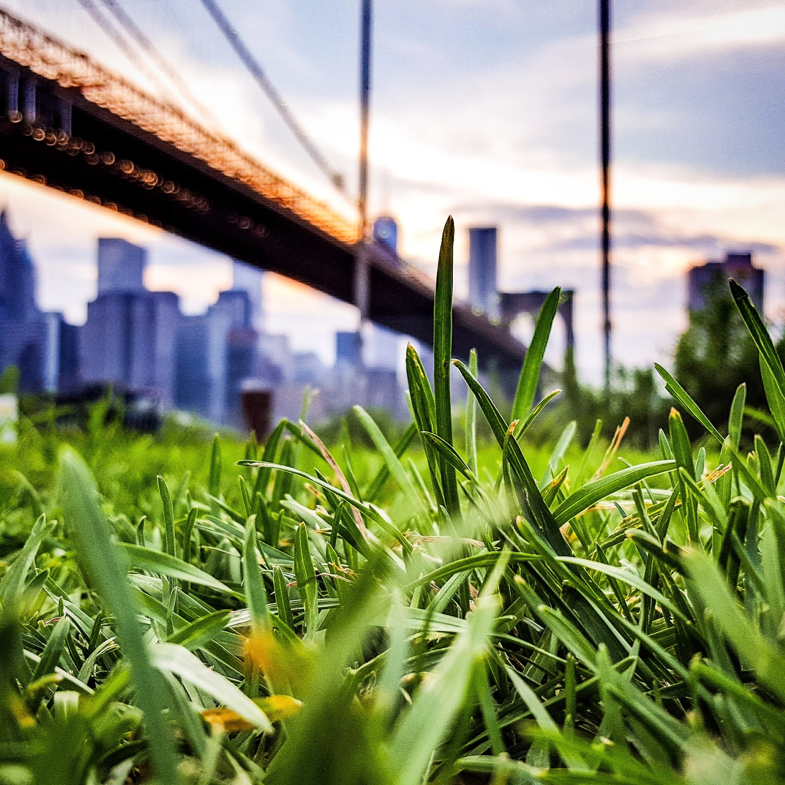 Photo of Empire Fulton Ferry in Brooklyn City, New York, United States - 7 Picture of Point of interest, Establishment, Park