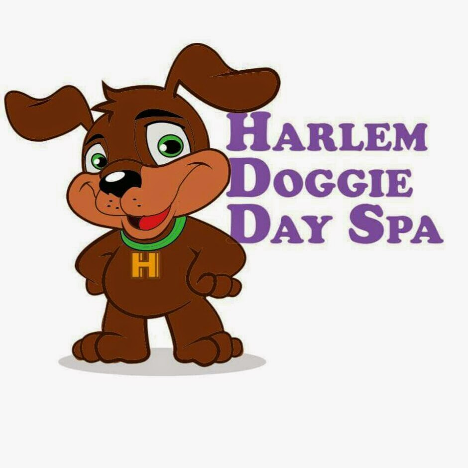 Photo of Harlem Doggie Day Spa in New York City, New York, United States - 1 Picture of Point of interest, Establishment