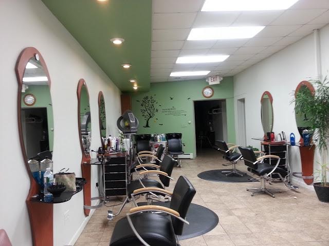Photo of Beauty Buzz in Bloomfield City, New Jersey, United States - 1 Picture of Point of interest, Establishment, Health, Spa, Beauty salon, Hair care