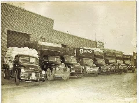 Photo of Bono Sawdust Co in Flushing City, New York, United States - 2 Picture of Point of interest, Establishment, Store