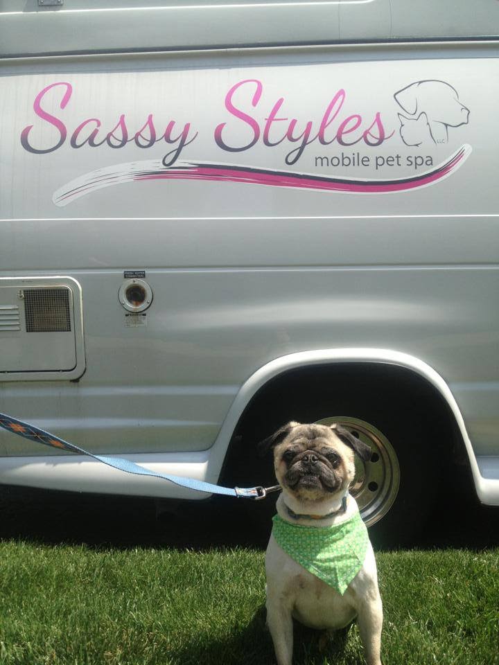 Photo of Sassy Styles Mobile Pet Spa in Rutherford City, New Jersey, United States - 4 Picture of Point of interest, Establishment