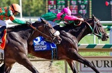 Photo of Gary P Gullo Racing Stable in Elmont City, New York, United States - 9 Picture of Food, Point of interest, Establishment