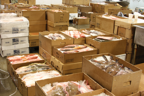 Photo of Astoria Fish Depot in Bronx City, New York, United States - 2 Picture of Food, Point of interest, Establishment