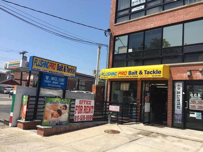 Photo of Flushing Pro Bait & Tackle in Queens City, New York, United States - 2 Picture of Point of interest, Establishment, Store