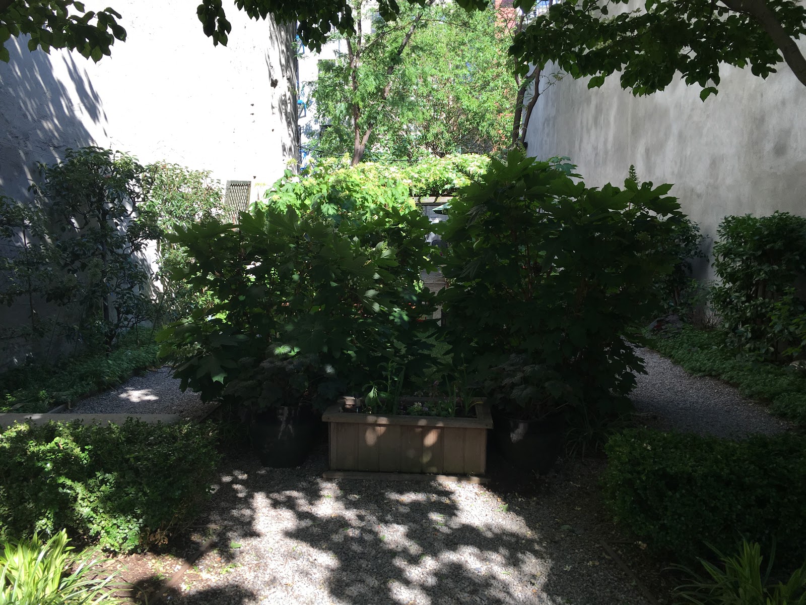 Photo of Dorothy Strelsin Memorial Community Garden in New York City, New York, United States - 3 Picture of Point of interest, Establishment, Park