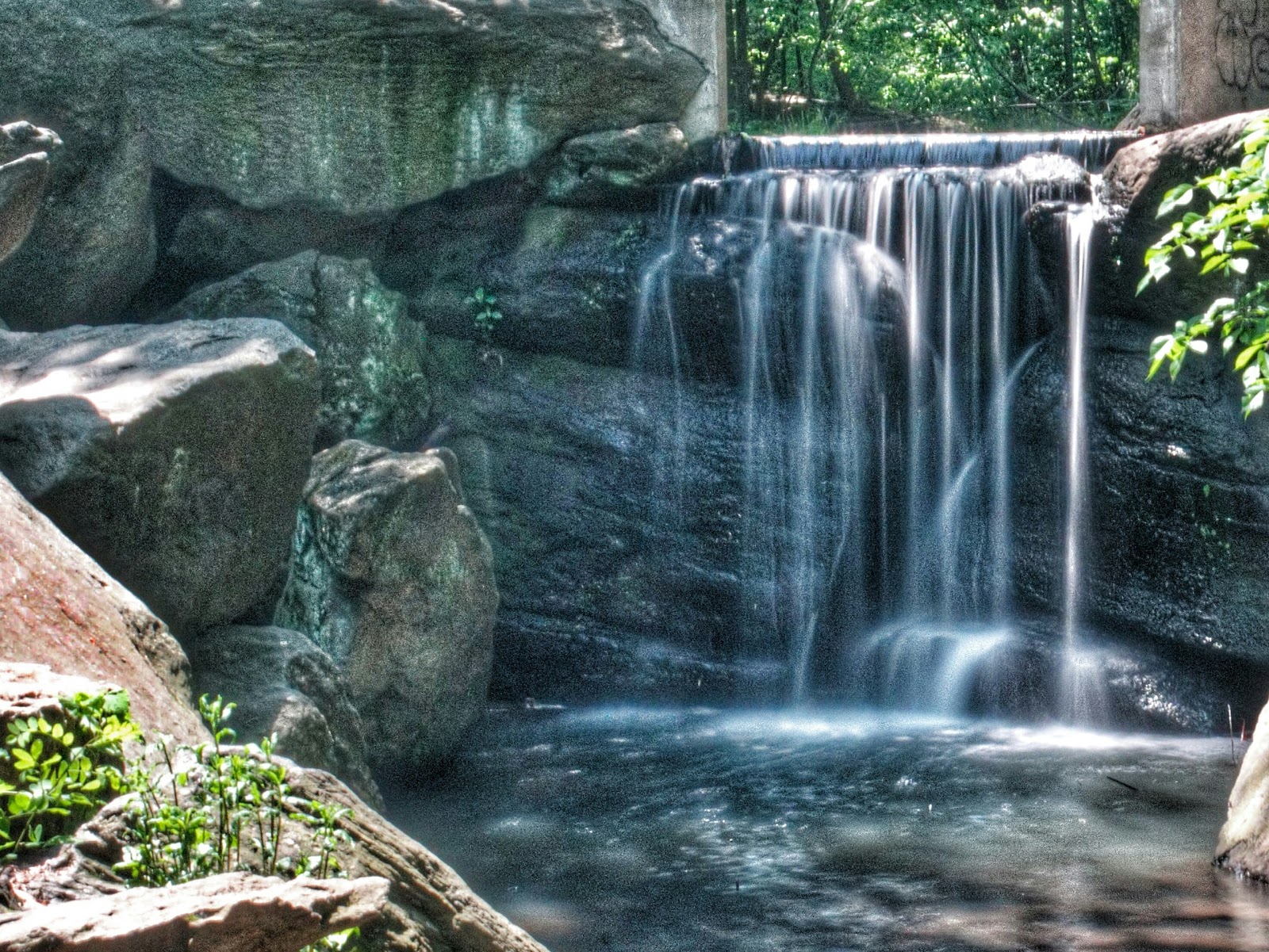 Photo of The Loch in Manhattan City, New York, United States - 2 Picture of Point of interest, Establishment, Park