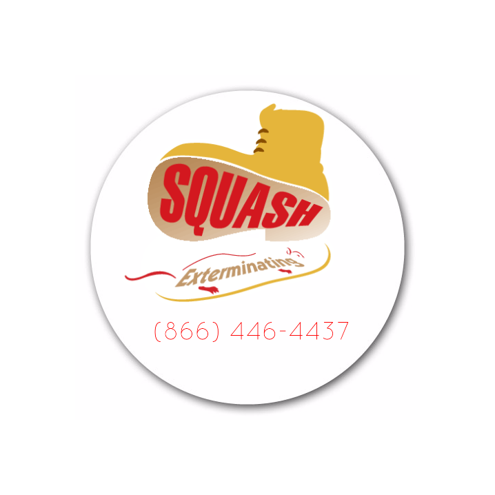 Photo of Squash Exterminating LLC in Kings County City, New York, United States - 1 Picture of Point of interest, Establishment, Store, Home goods store