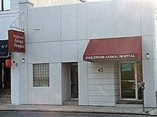 Photo of The Englewood Animal Hospital on Dean Street in Englewood City, New Jersey, United States - 1 Picture of Point of interest, Establishment, Veterinary care