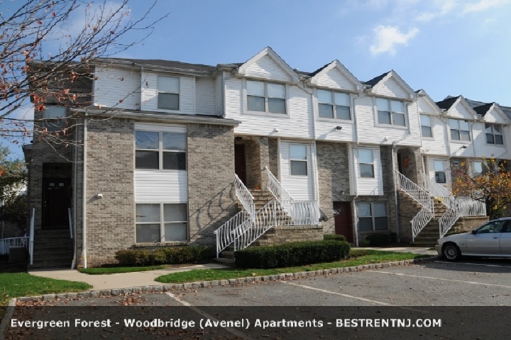 Photo of Evergreen Forest Apartments in Avenel City, New Jersey, United States - 8 Picture of Point of interest, Establishment, Real estate agency