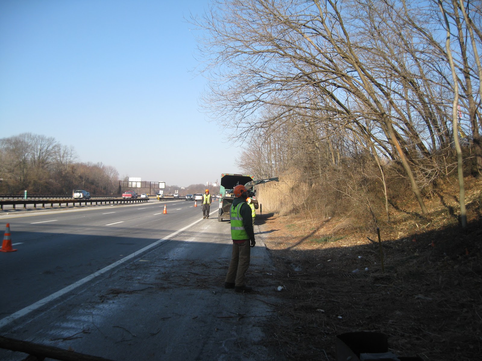 Photo of Downes Tree Service, Inc. in Hawthorne City, New Jersey, United States - 4 Picture of Point of interest, Establishment