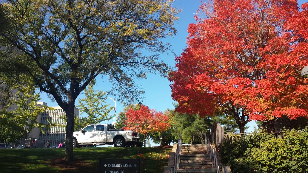 Photo of Essex County College in Newark City, New Jersey, United States - 1 Picture of Point of interest, Establishment