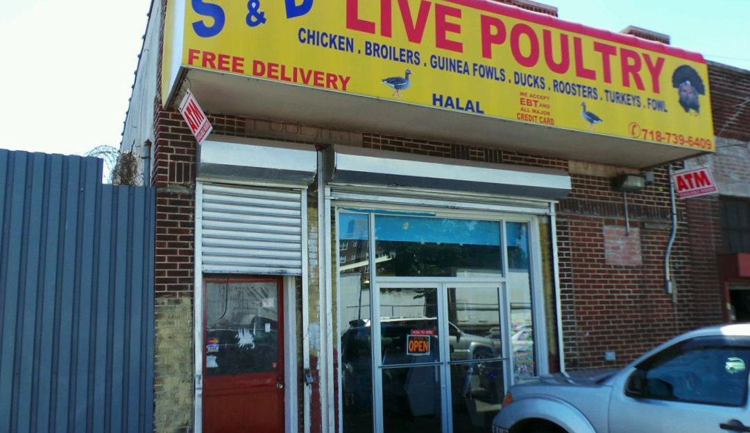 Photo of S & D Live Poultry Market in Jamaica City, New York, United States - 1 Picture of Food, Point of interest, Establishment, Store, Grocery or supermarket