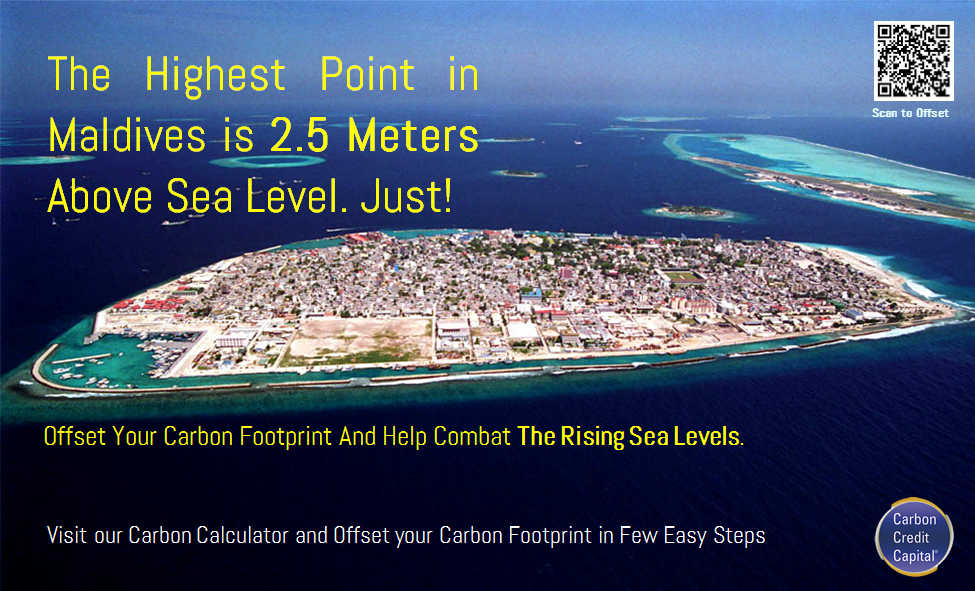 Photo of Carbon Credit Capital in New York City, New York, United States - 4 Picture of Point of interest, Establishment, Finance