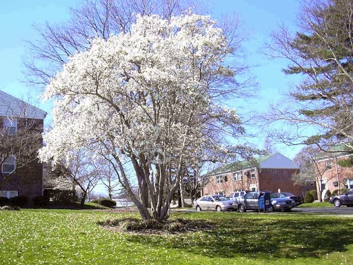 Photo of Forest Realty Inc. in Springfield Township City, New Jersey, United States - 5 Picture of Point of interest, Establishment, Real estate agency