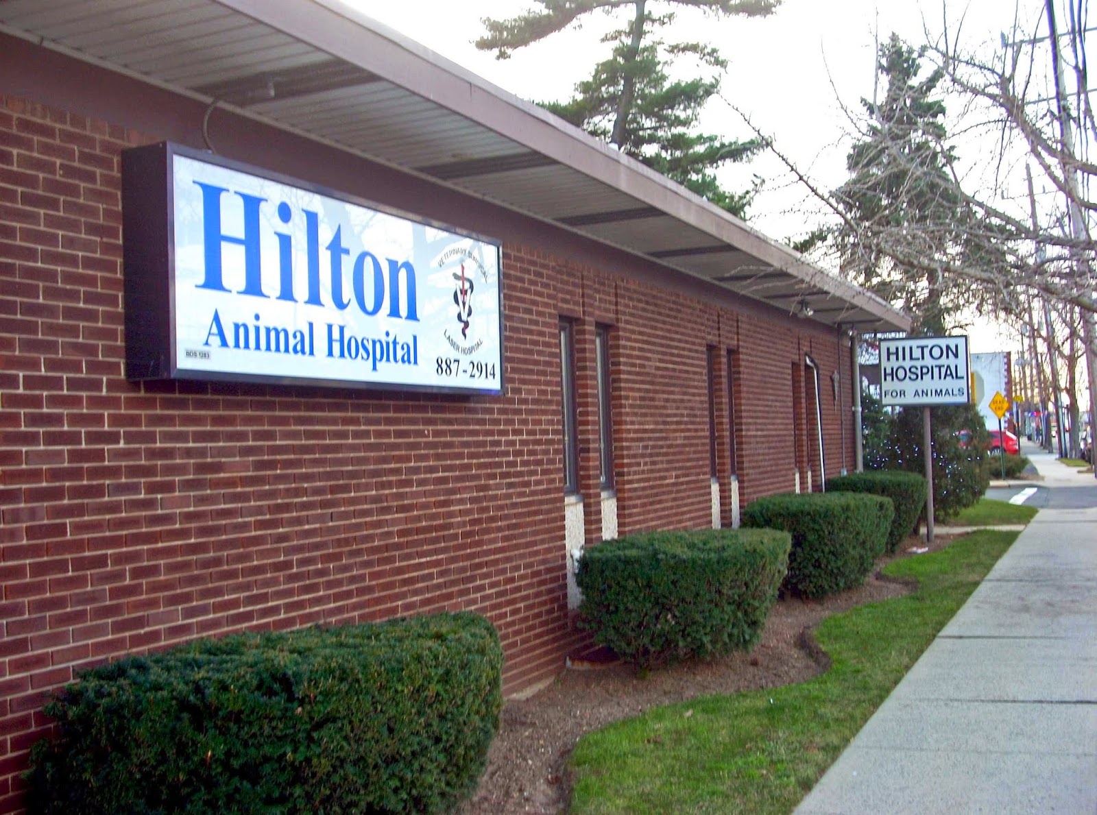 Photo of Hilton Hospital for Animals in Lynbrook City, New York, United States - 2 Picture of Point of interest, Establishment, Veterinary care