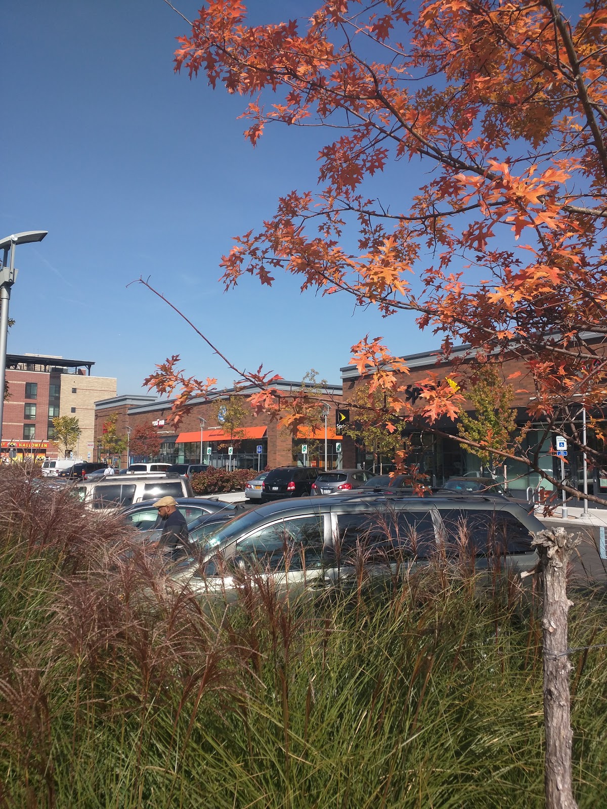 Photo of Gateway Center in Brooklyn City, New York, United States - 1 Picture of Point of interest, Establishment, Shopping mall