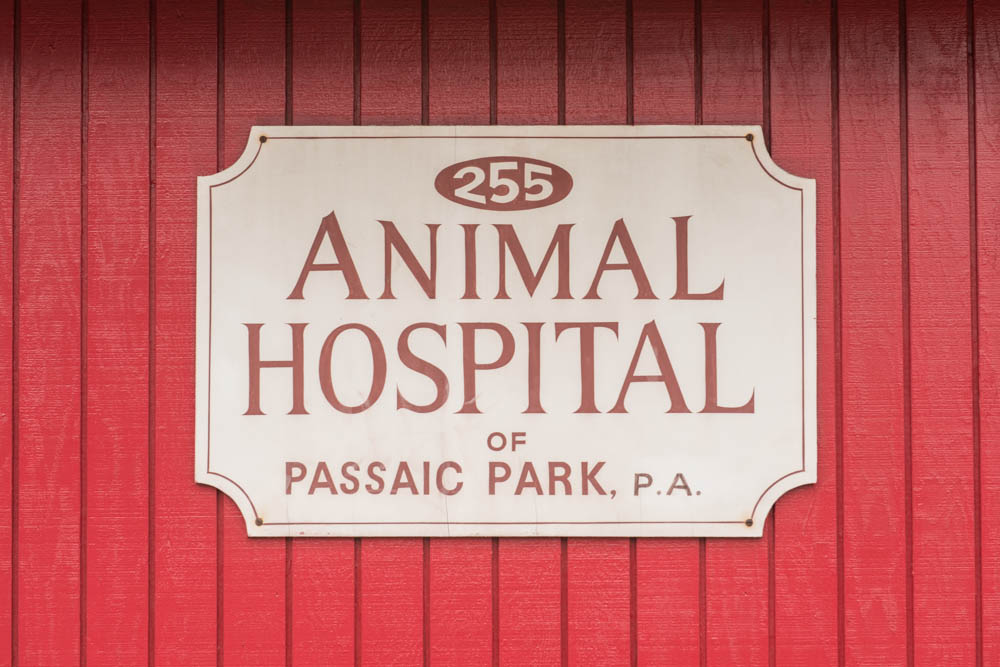 Photo of Animal Hospital Of Passaic Park in Passaic City, New Jersey, United States - 4 Picture of Point of interest, Establishment, Veterinary care