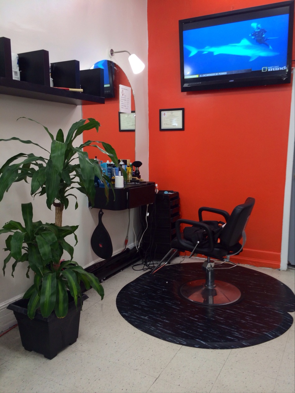 Photo of Lucian Barber Shop LLC in Union City, New Jersey, United States - 9 Picture of Point of interest, Establishment, Health, Hair care