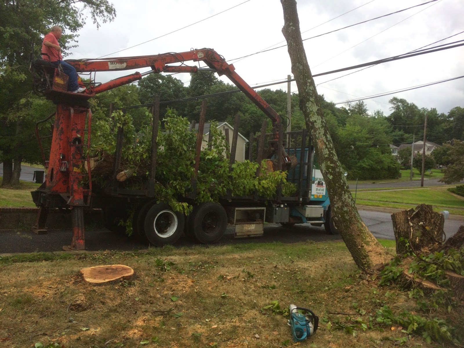 Photo of A&M AFFORABLE Tree SERVICE in Paterson City, New Jersey, United States - 2 Picture of Food, Point of interest, Establishment