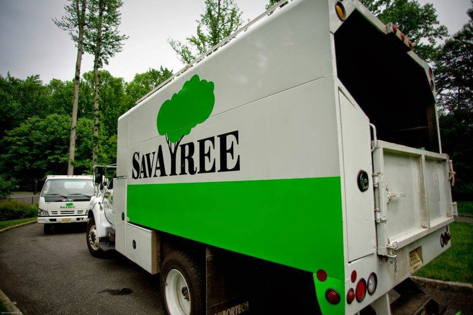 Photo of SavATree/ SavaLawn - Tree and Lawn Care Services in Glen Head City, New York, United States - 3 Picture of Point of interest, Establishment