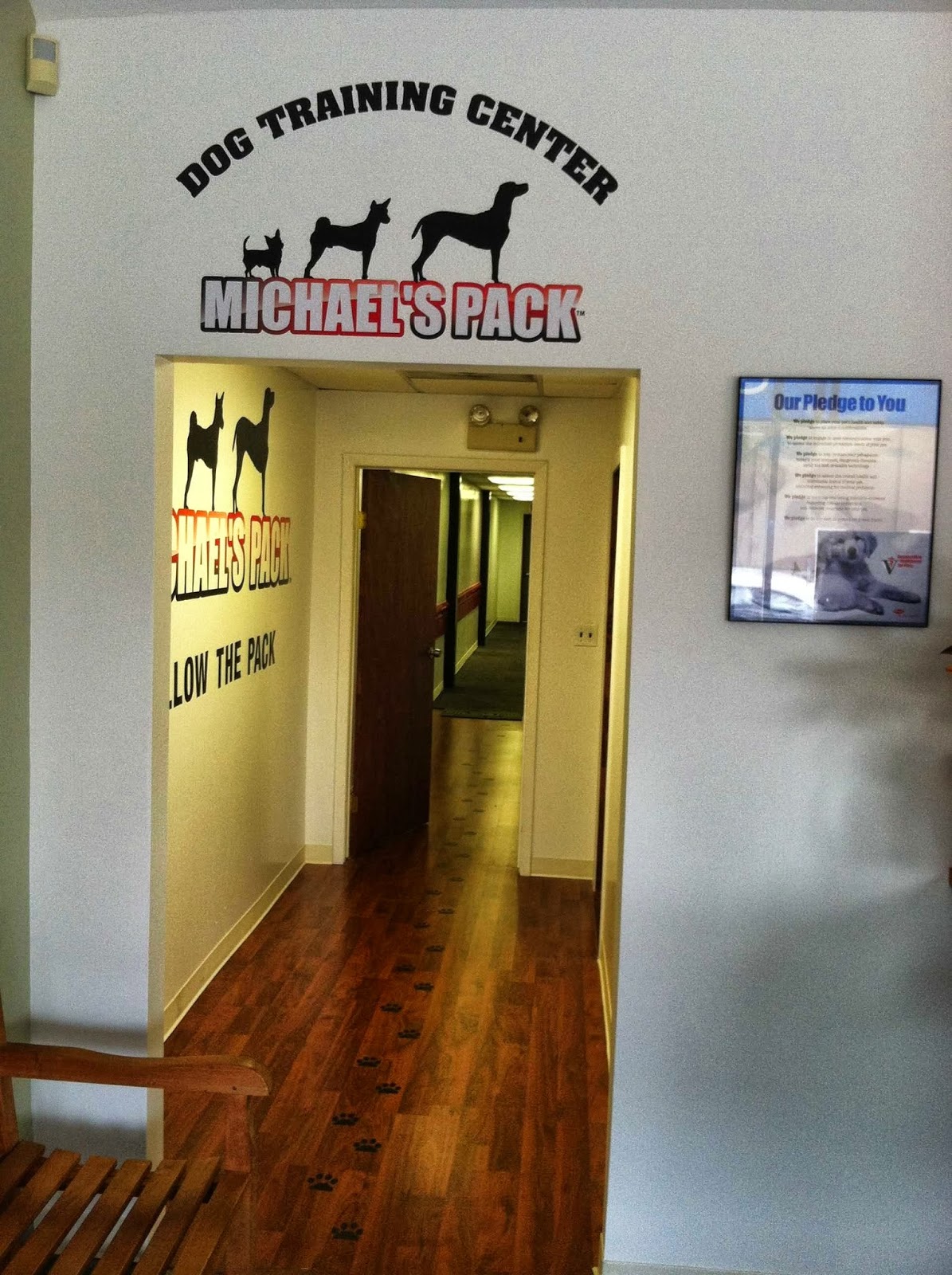 Photo of Michael's Pack Dog Training Center in Mineola City, New York, United States - 1 Picture of Point of interest, Establishment