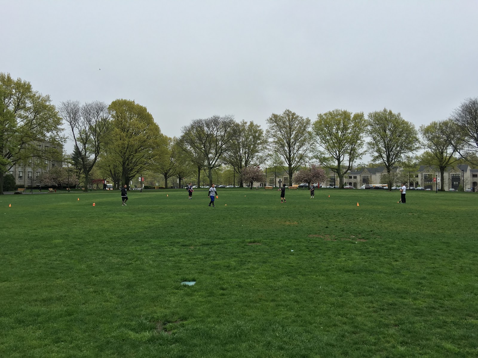 Photo of The Great Lawn in Queens City, New York, United States - 5 Picture of Point of interest, Establishment, General contractor