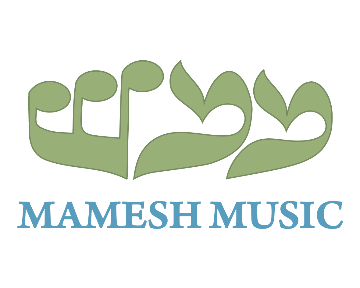 Photo of Mamesh Music School in Kings County City, New York, United States - 2 Picture of Point of interest, Establishment