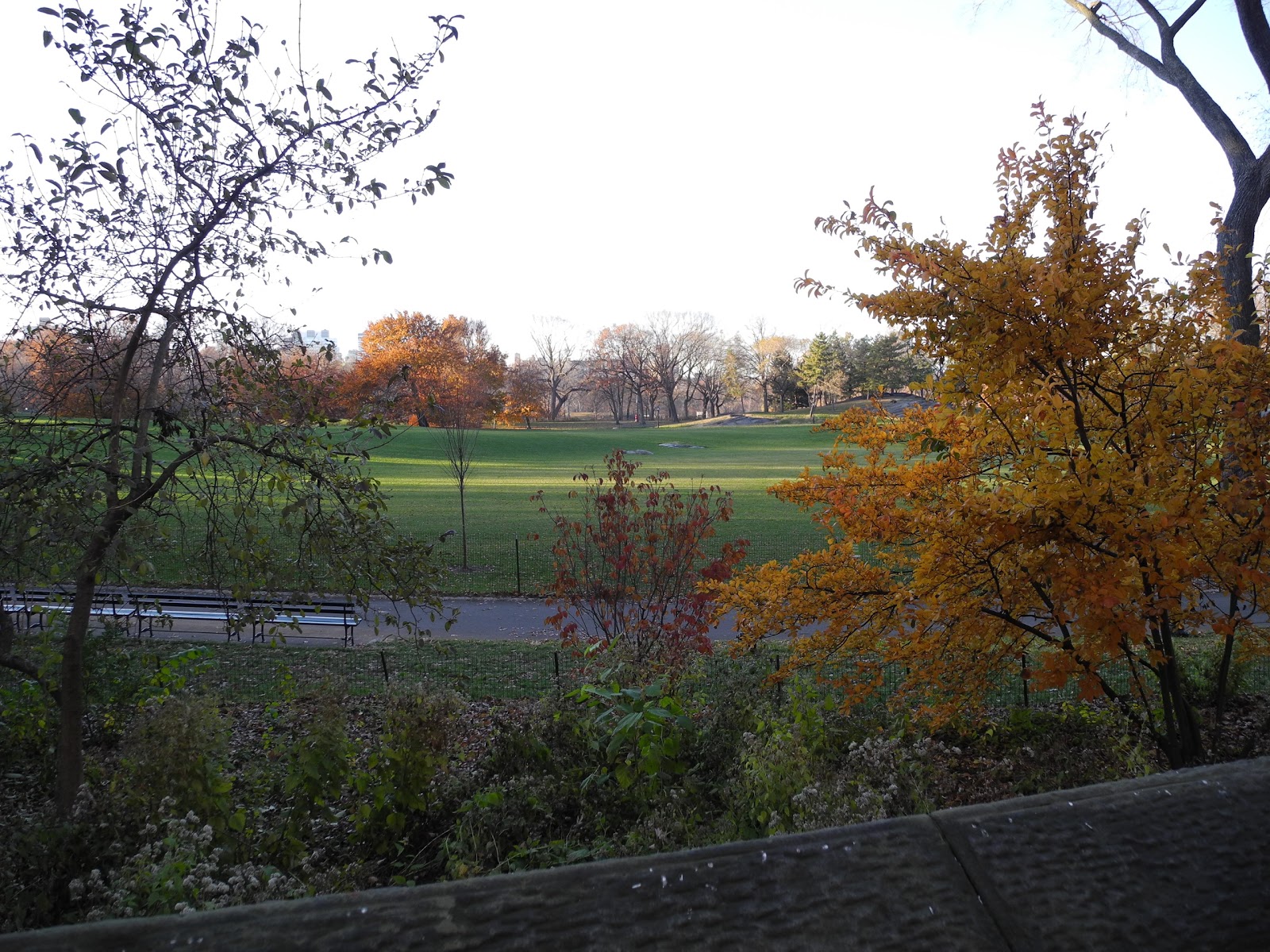 Photo of East Meadow in New York City, New York, United States - 6 Picture of Point of interest, Establishment, Park