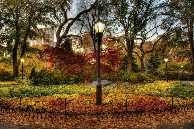 Photo of Olmsted Flower Bed in New York City, New York, United States - 2 Picture of Point of interest, Establishment, Park